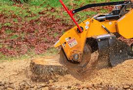 Lawn Renovation and Restoration in Pecatonica, IL